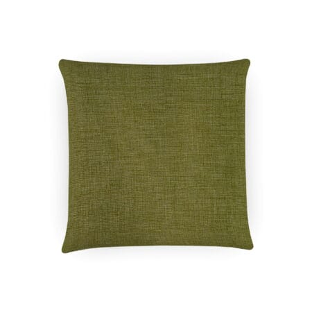 Concept Kiwi Cushion