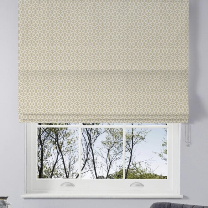 Ivy Pampas Roman Blind