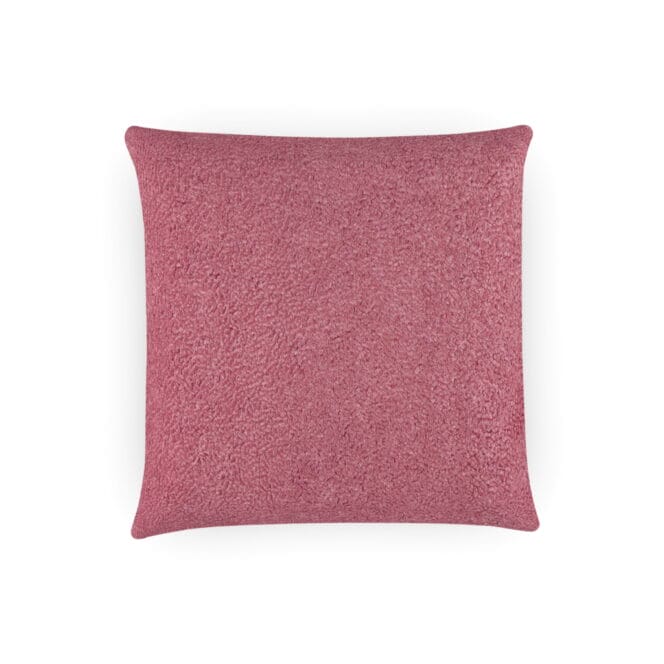 Fergus Raspberry Cushion