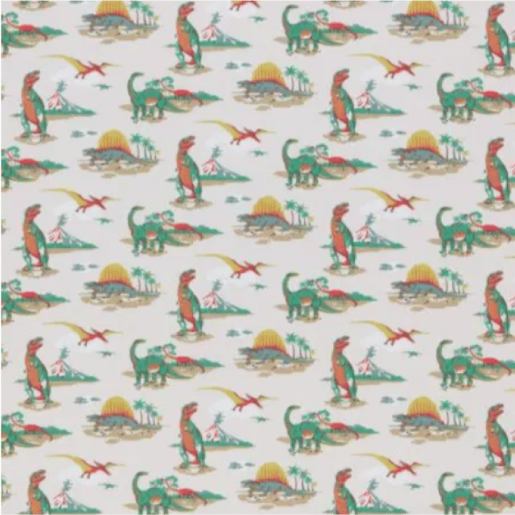 Cath Kidston Dino Roman Blind