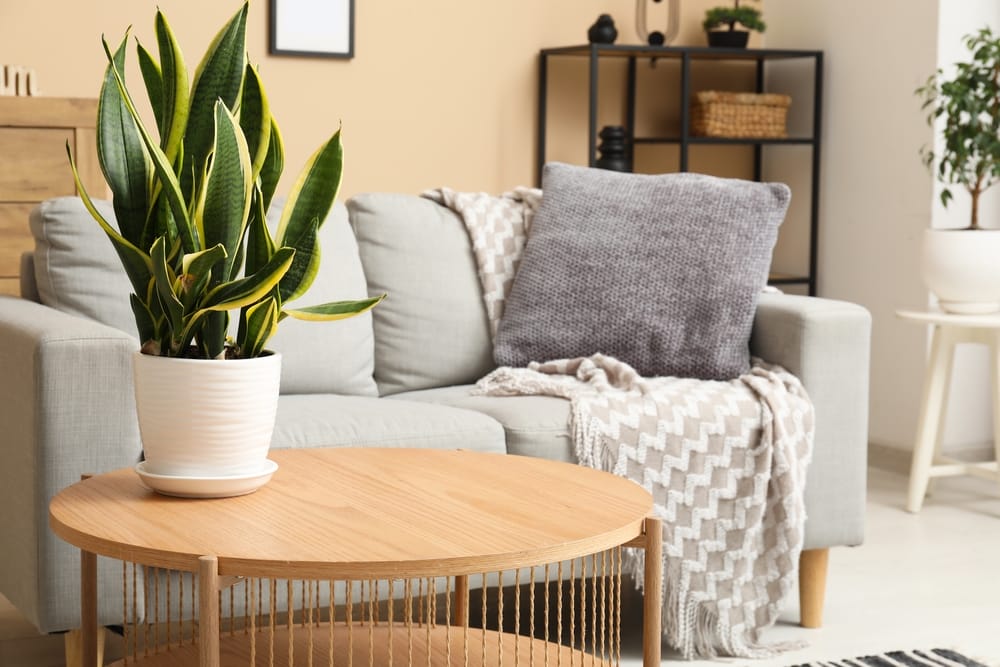 DIY Tips for Accessorising with Cushions and Throws