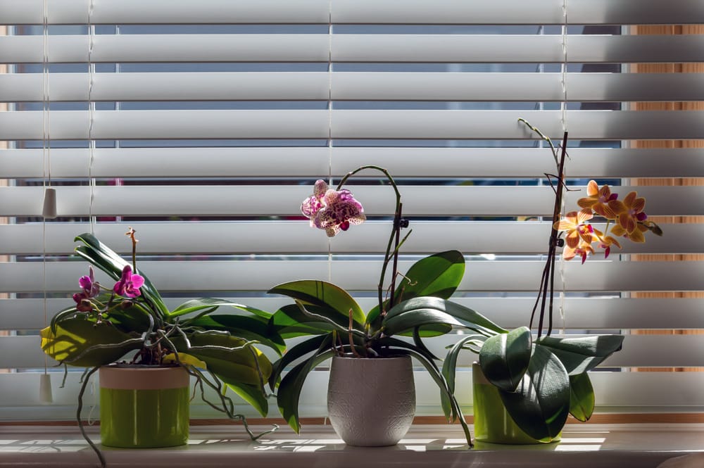 Easy Ways to Soften the Look of Venetian Blinds