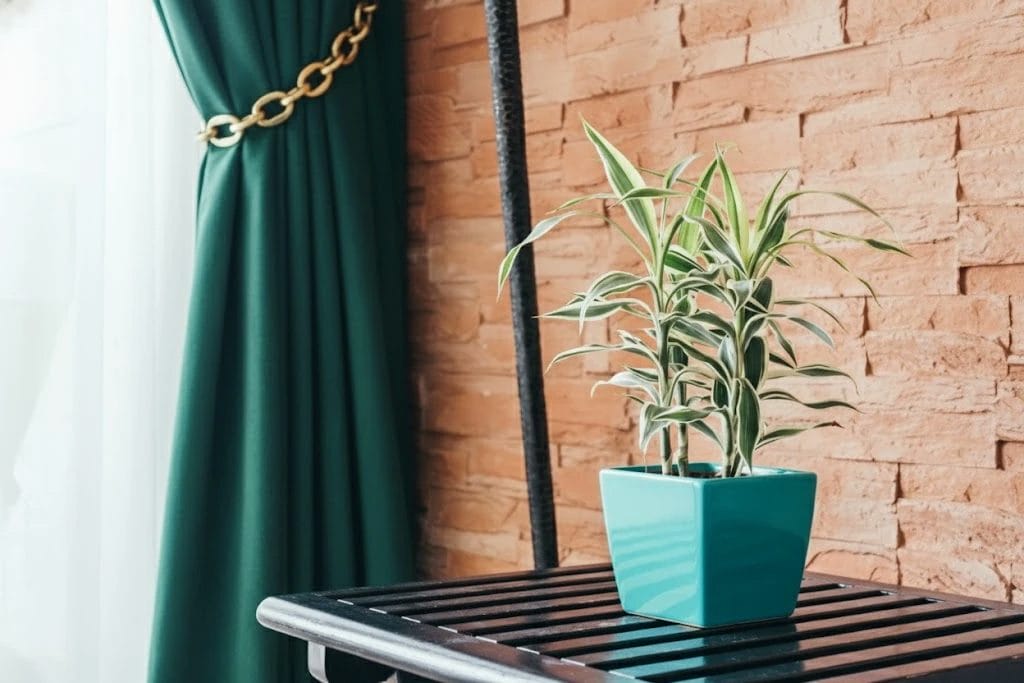 Eco Friendly Curtains