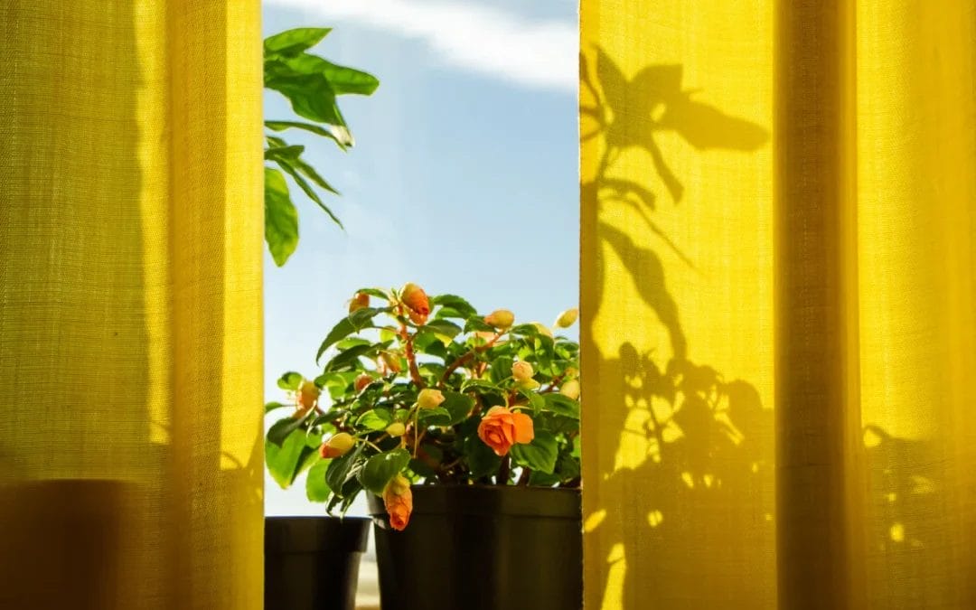 Exploring the Sewing House Made to Measure Curtain Collection